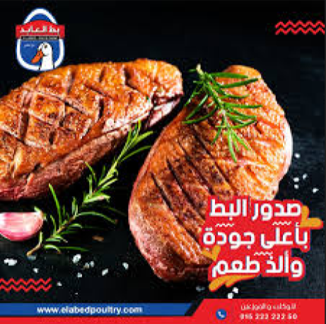 صدور بط العابد 